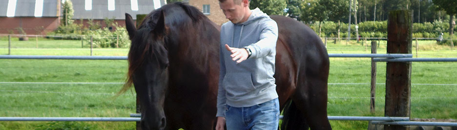 Coaching - Cavallo Coaching - Begeleiding en coaching met paarden