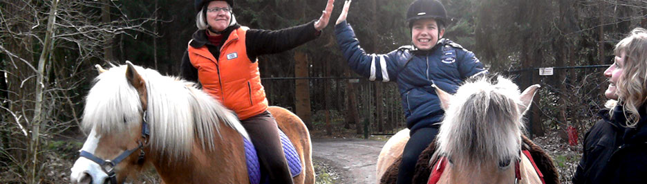 Groepsbegeleiding - Cavallo Coaching - Begeleiding en coaching met paarden