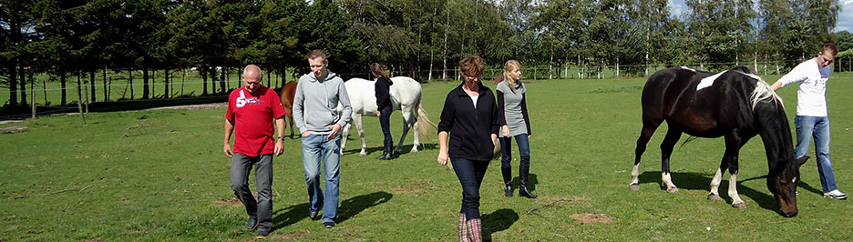 Workshops - Cavallo Coaching - Begeleiding en coaching met paarden