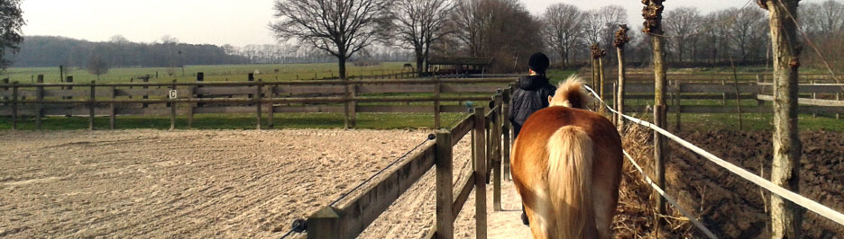 Even voorstellen - Cavallo Coaching - Begeleiding en coaching met paarden
